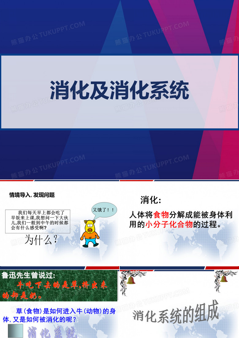 消化及消化系统 PPT