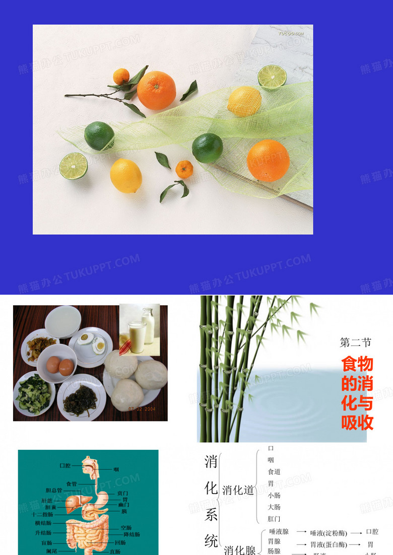 消化吸收