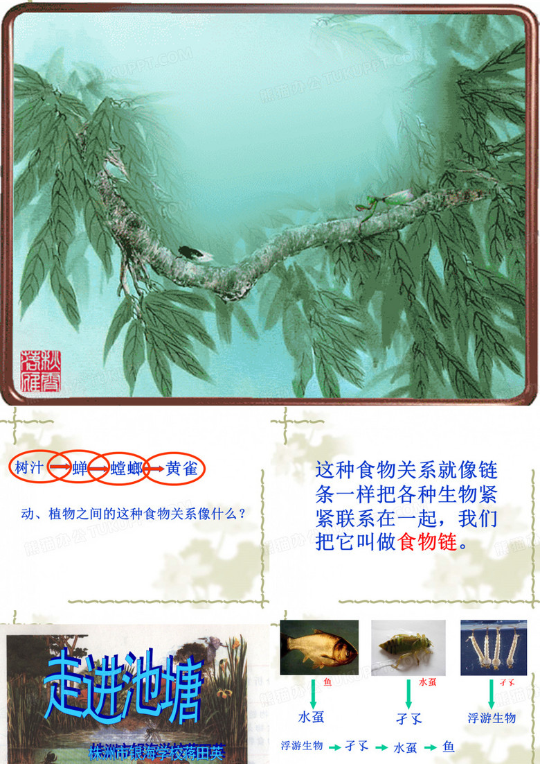 走进池塘
