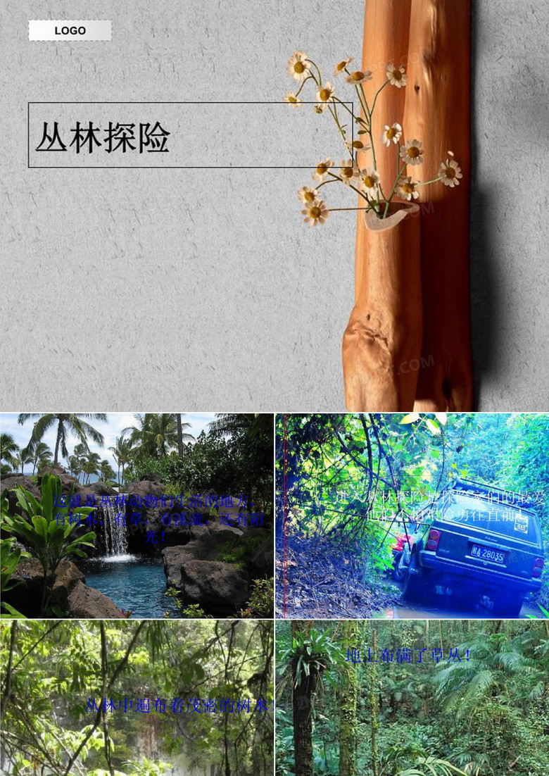 丛林探险-PPT教学