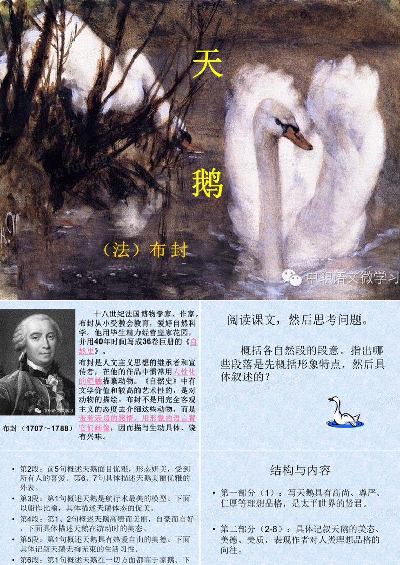 《天鹅》课件