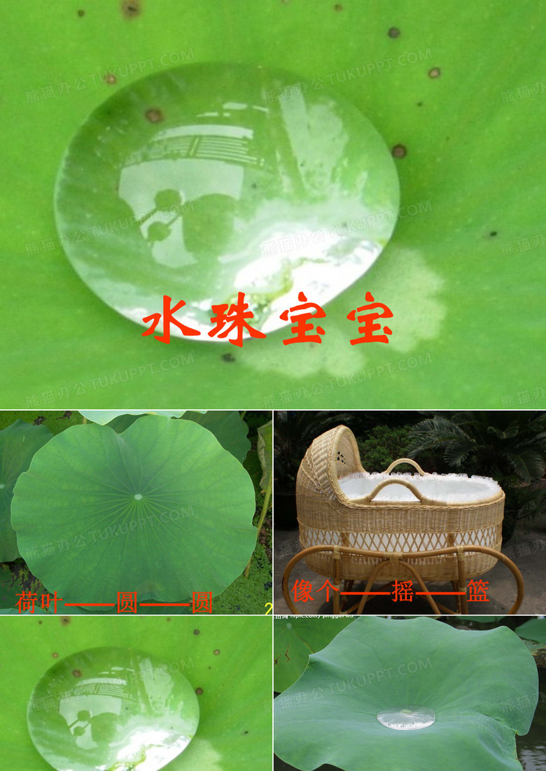 《水珠宝宝》课件