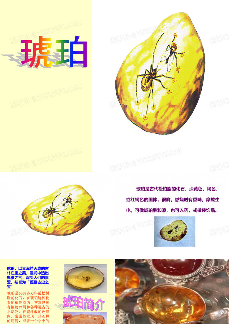 《琥珀》课件