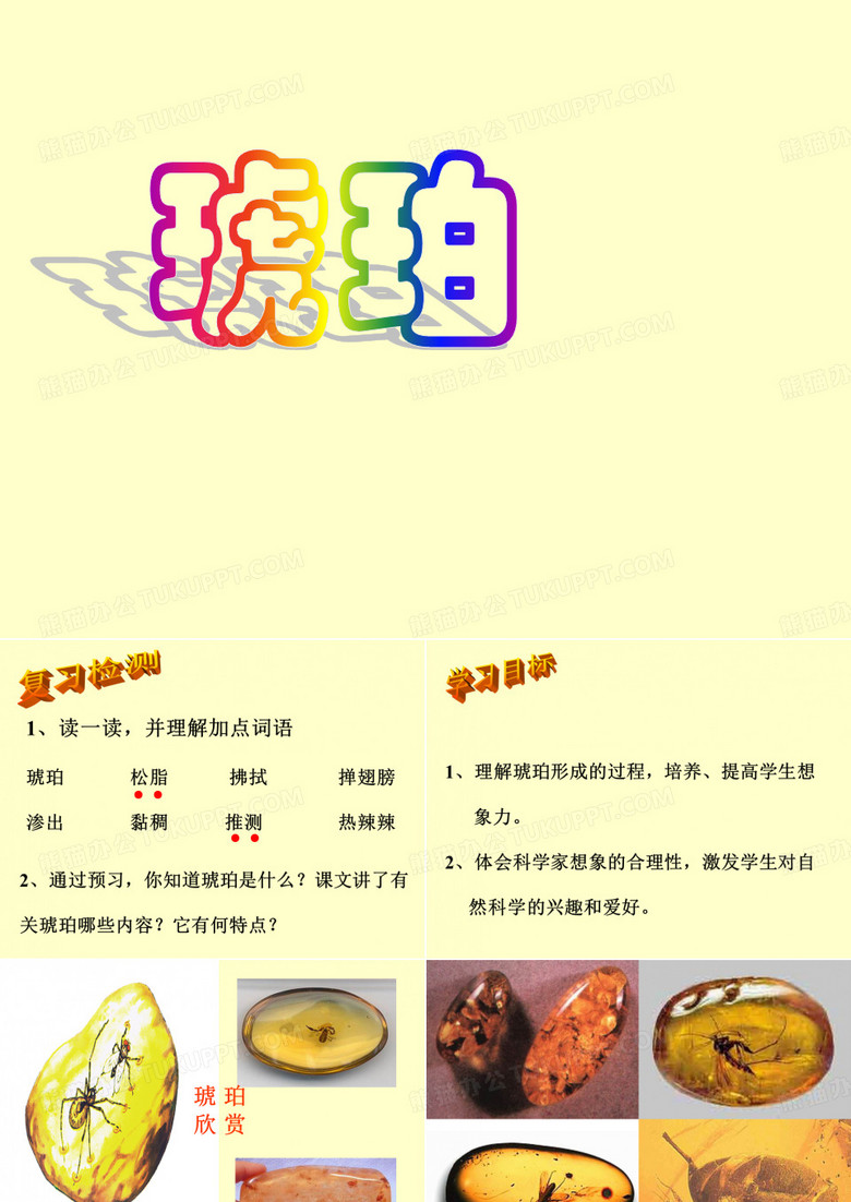 琥珀  ppt