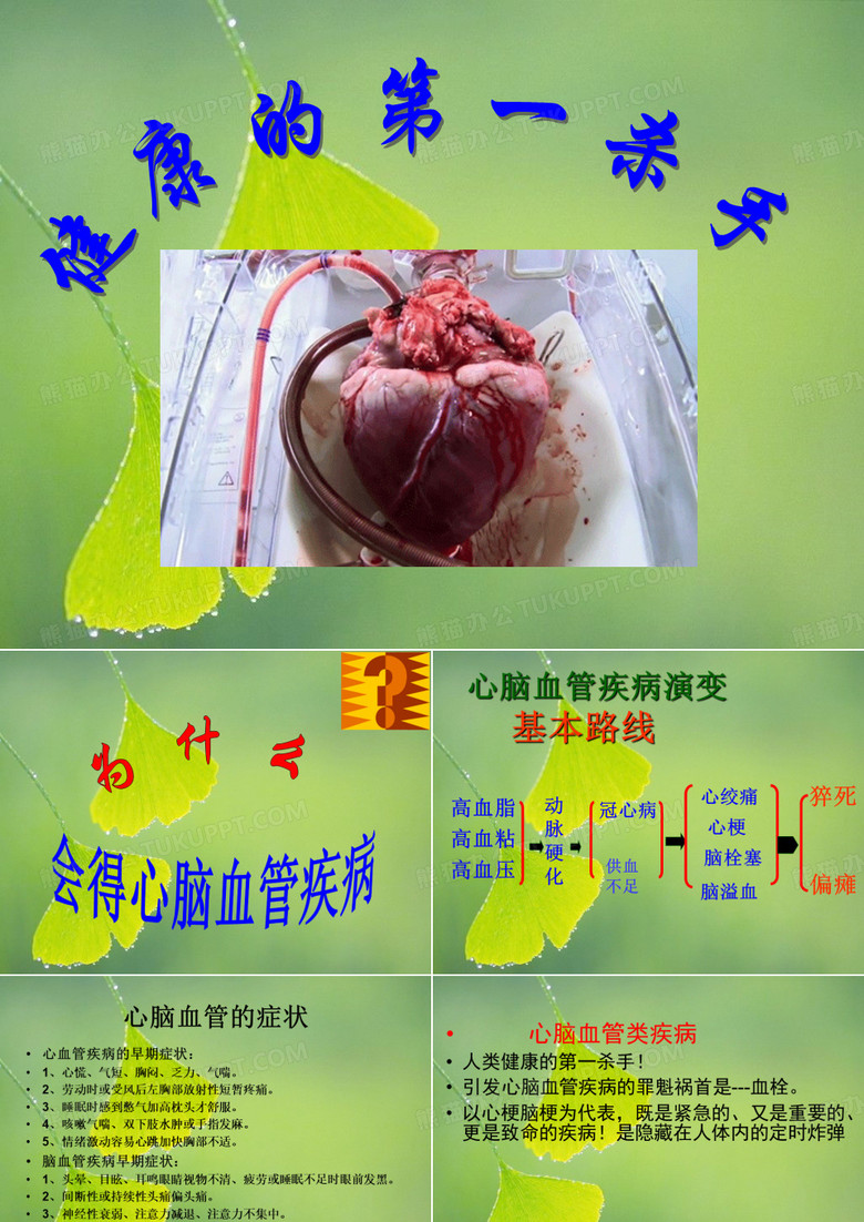 纳豆--心脑血管