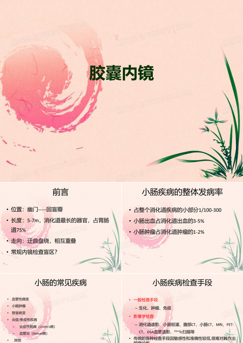 胶囊内镜