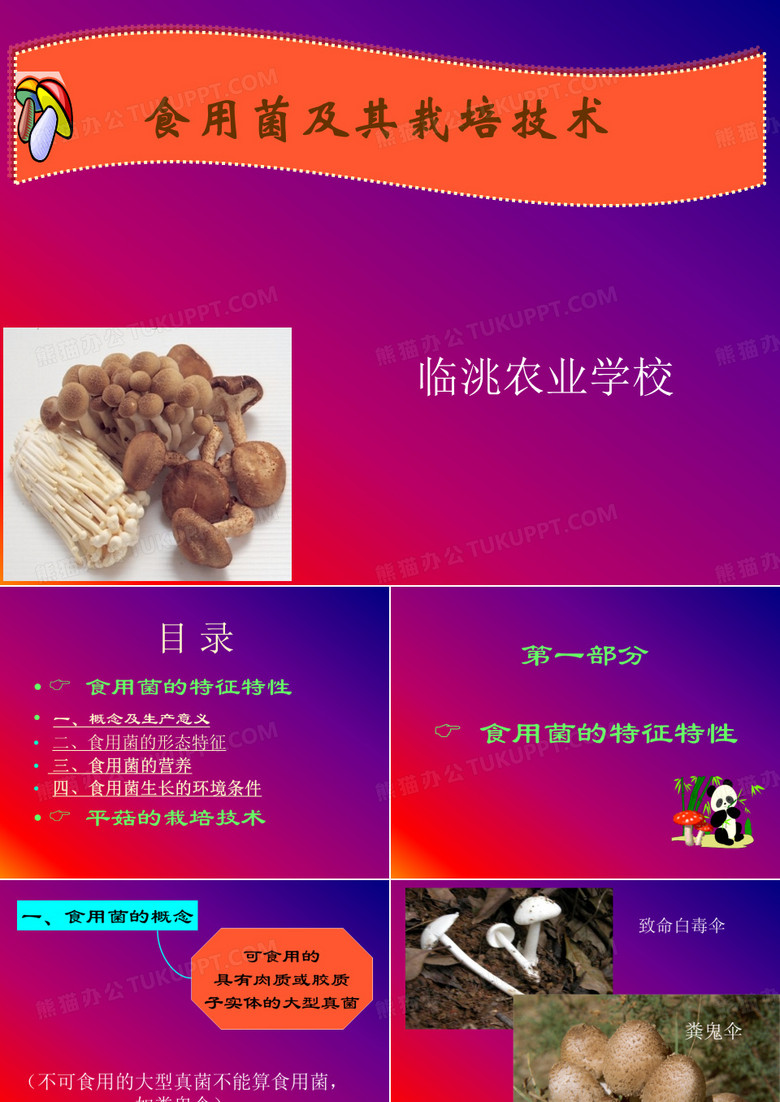 食用菌栽培