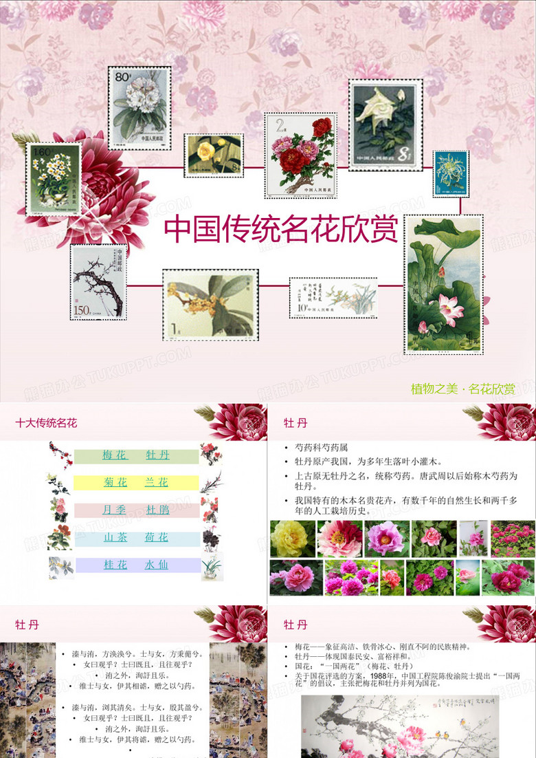 中国传统名花欣赏·牡丹