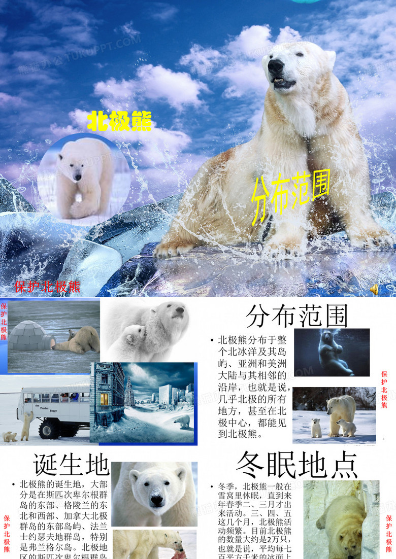 北极熊分布地区