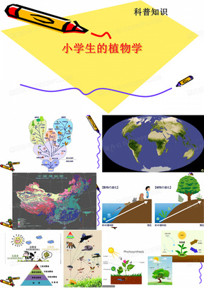 小学生的植物学