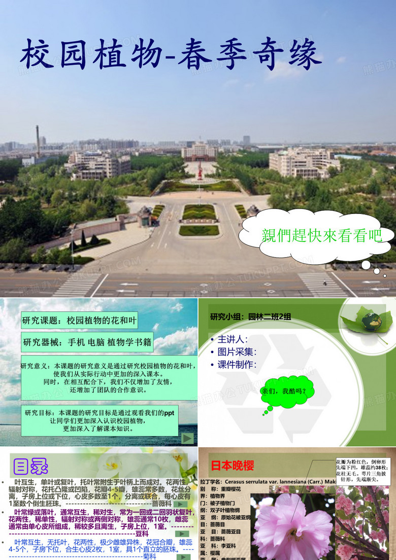 植物学ppt