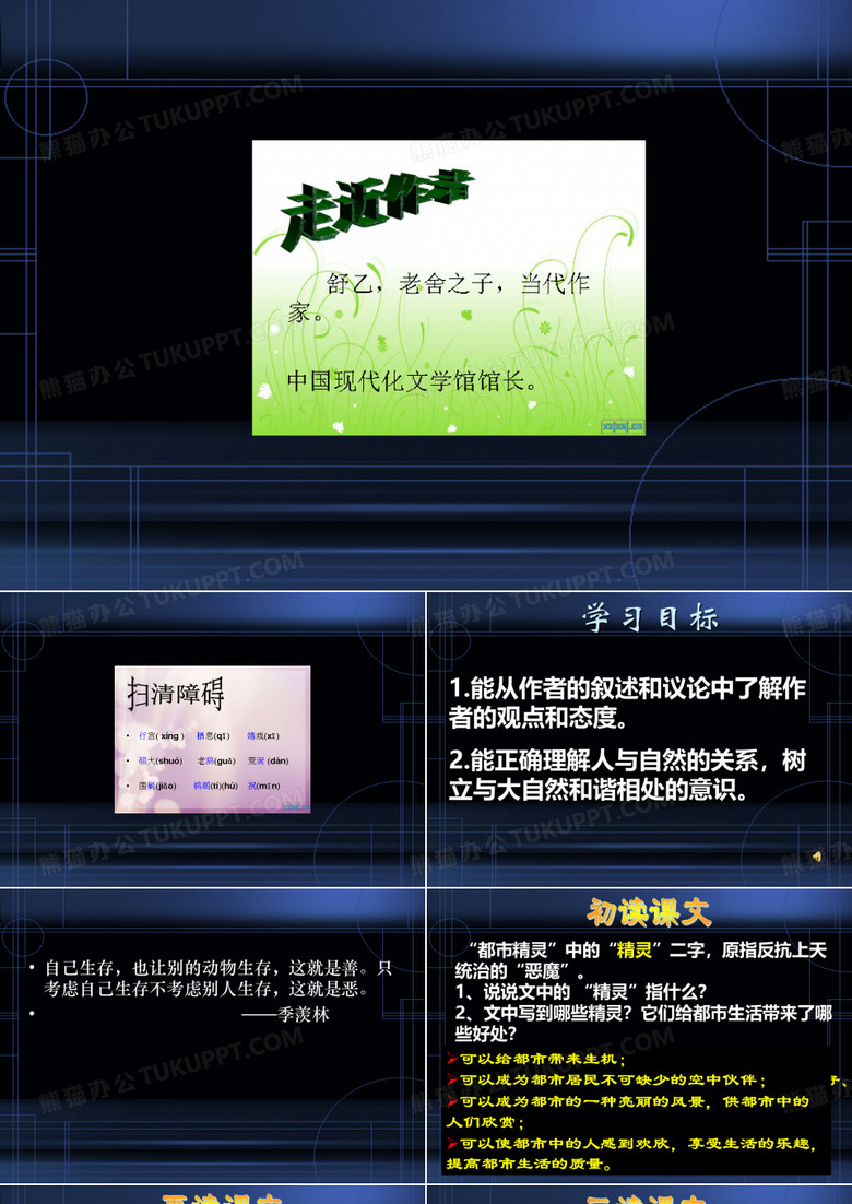 红嘴鸥鸽子