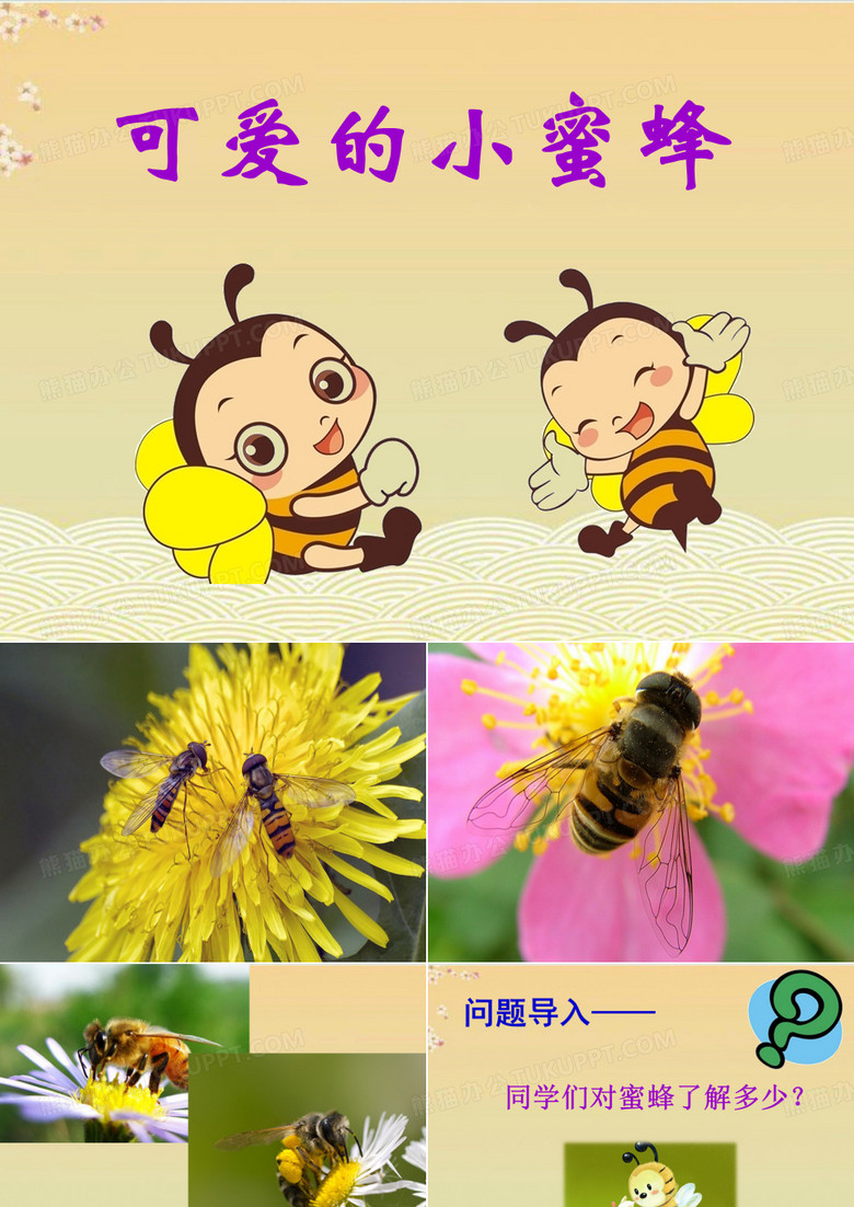 《可爱的小蜜蜂》课件