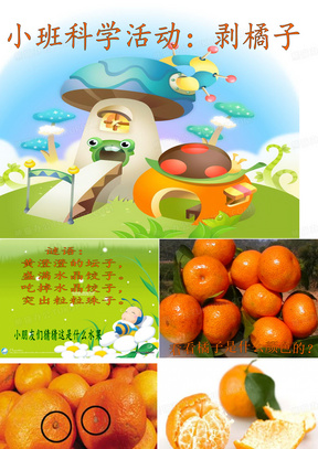 故事绘本笨笨熊种橘子ppt模板1706206唯美青春毕业季同学聚会橘子花开