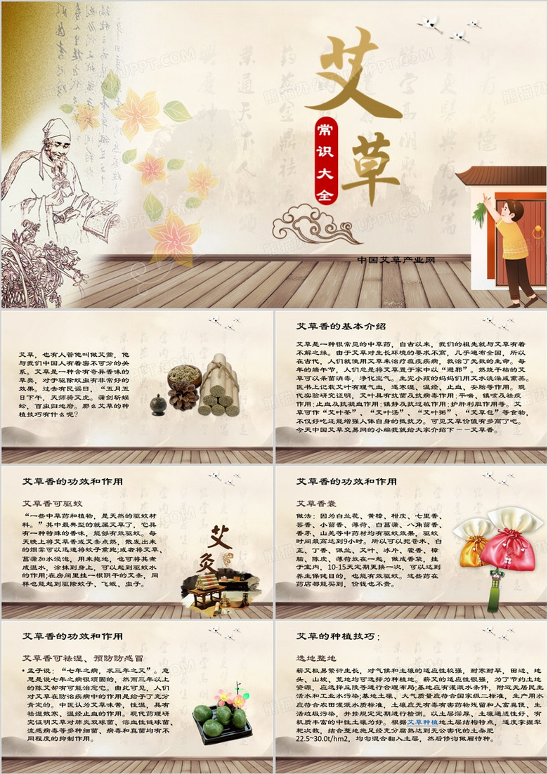 中药艾草的常识大全PPT模板