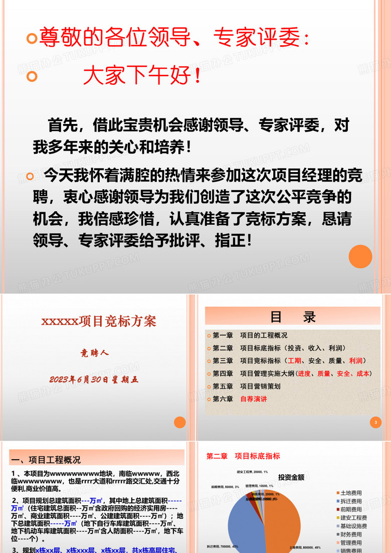 项目竞标方案