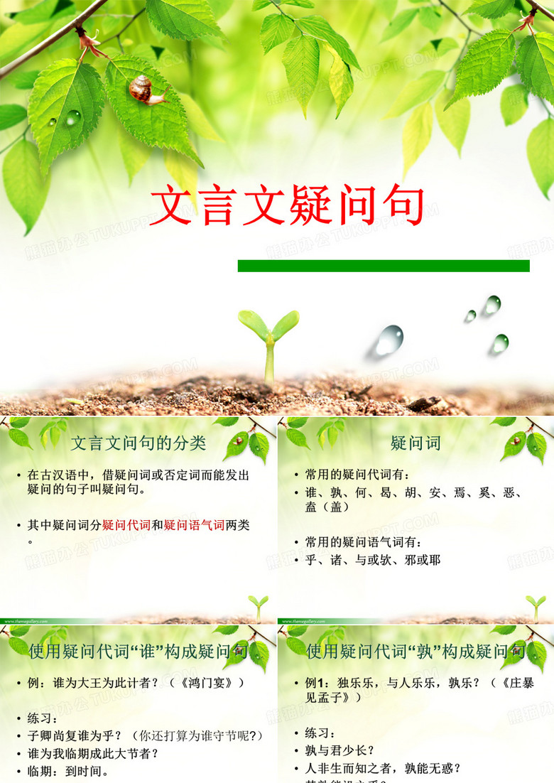 文言文疑问句式