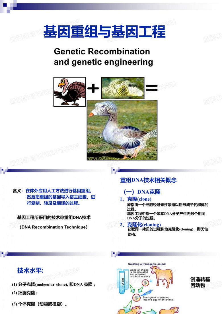 基因重组与基因工程