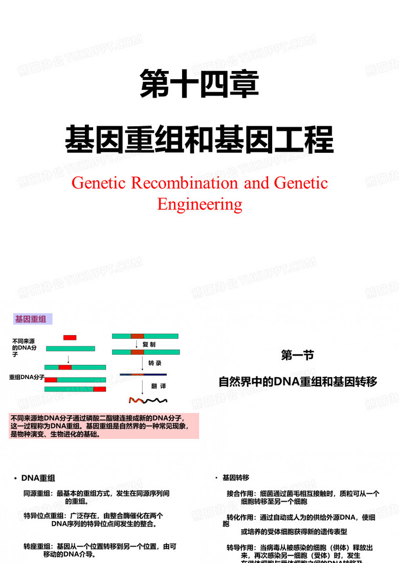 基因重组与基因工程