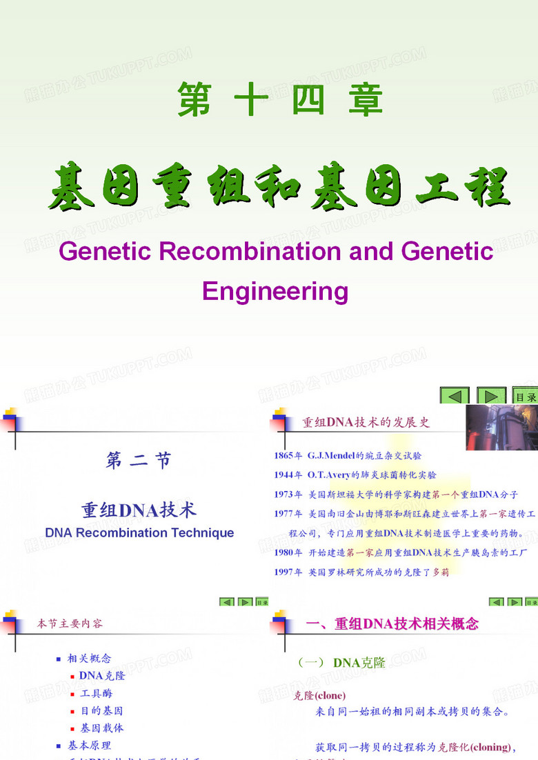 基因重组与基因工程