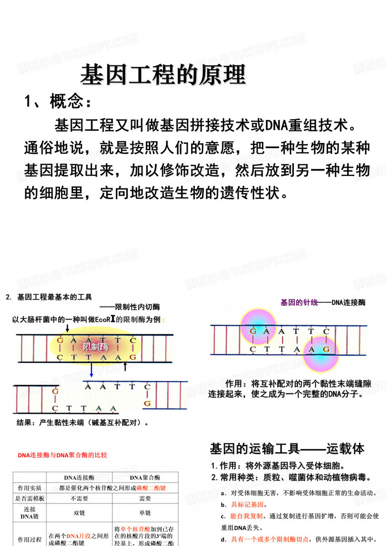 《基因工程》