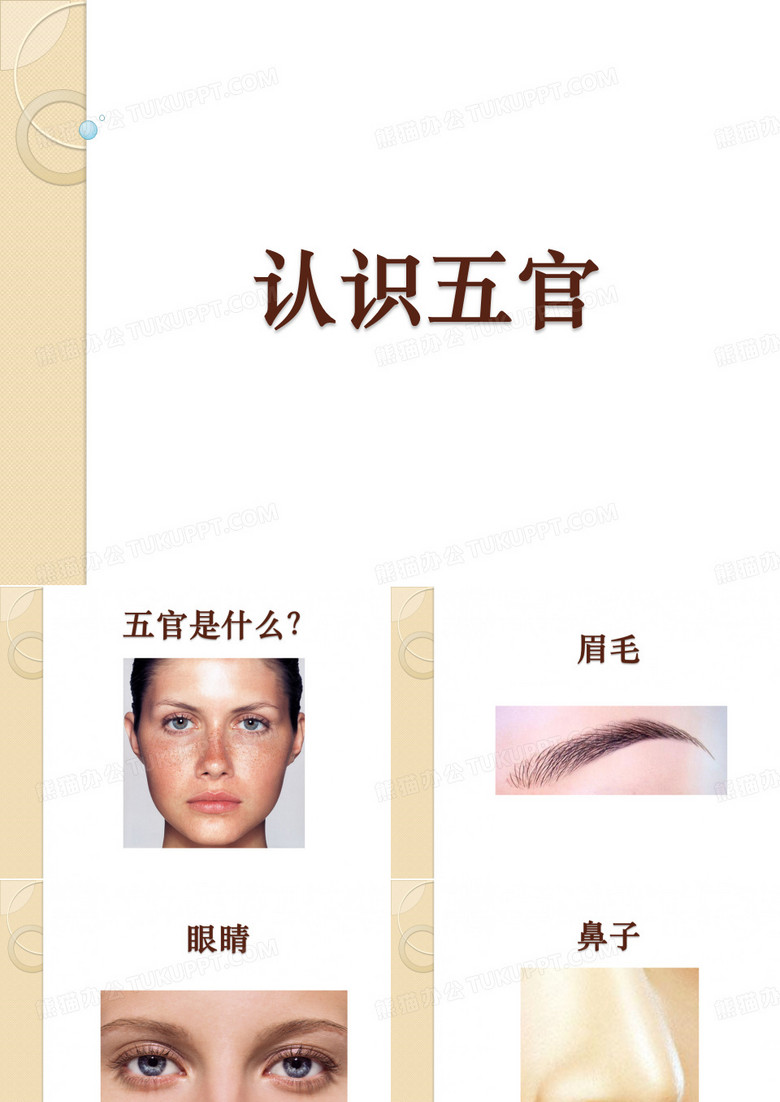 认识五官
