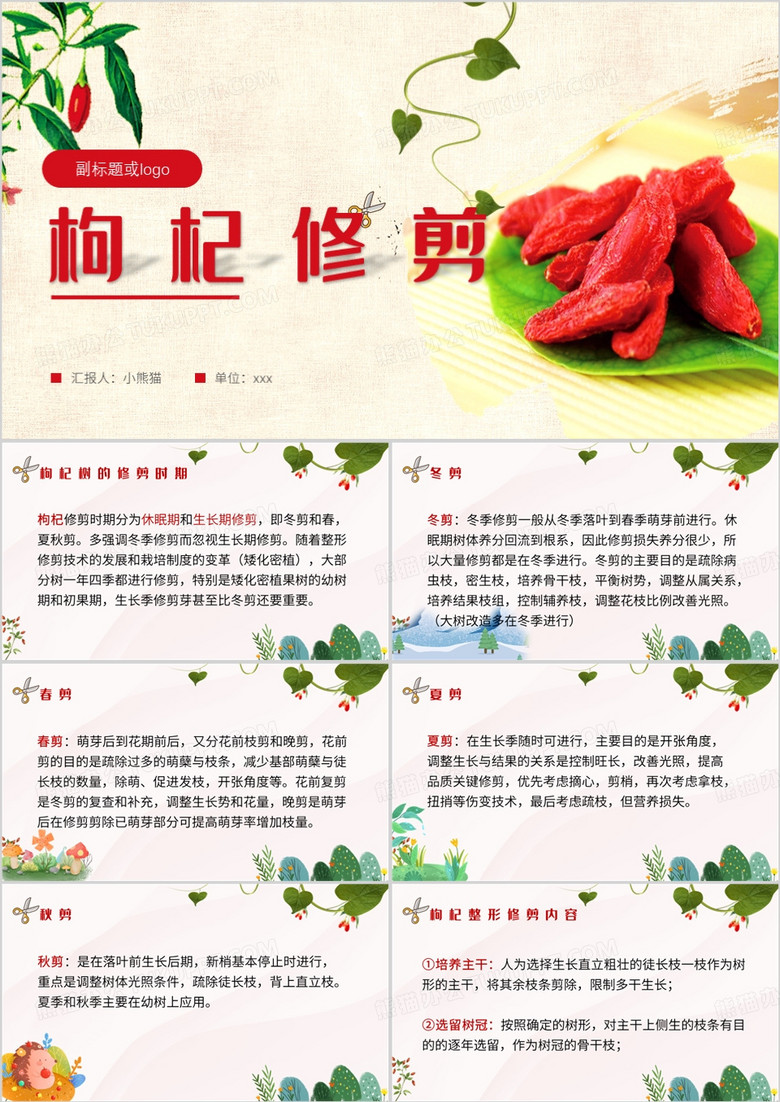 红色清新风枸杞修剪介绍PPT模板
