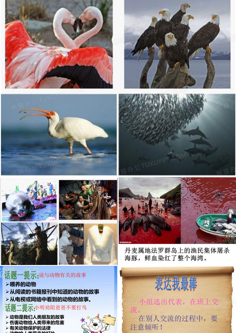 人与动物和谐相处