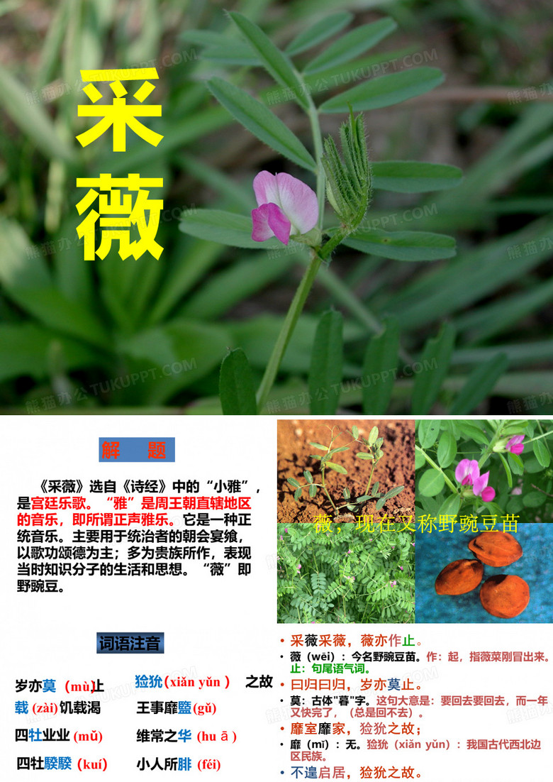 《采薇》