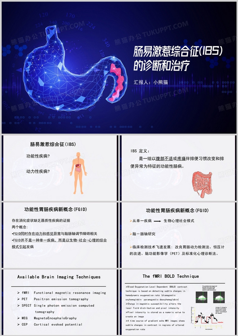 肠易激综合征ibs的诊断和治疗PPT模板