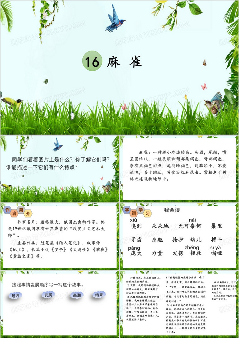 绿色语文课件麻雀介绍PPT模板