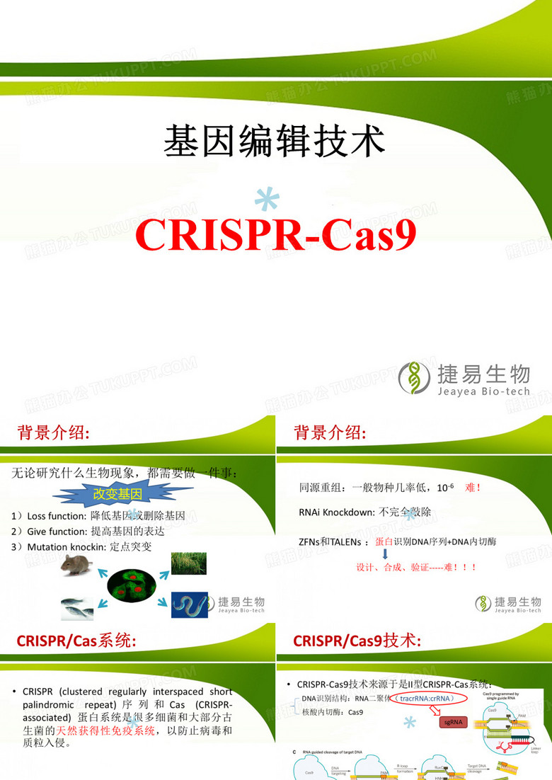 CRISPRCas9 中文