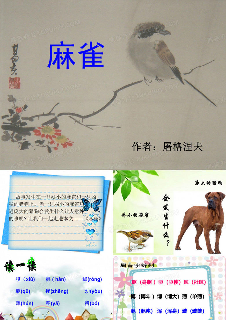 《麻雀》PPT