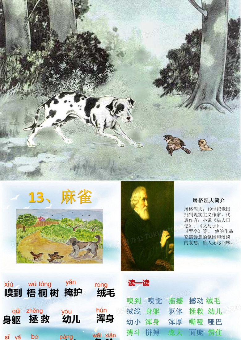 麻雀PPT