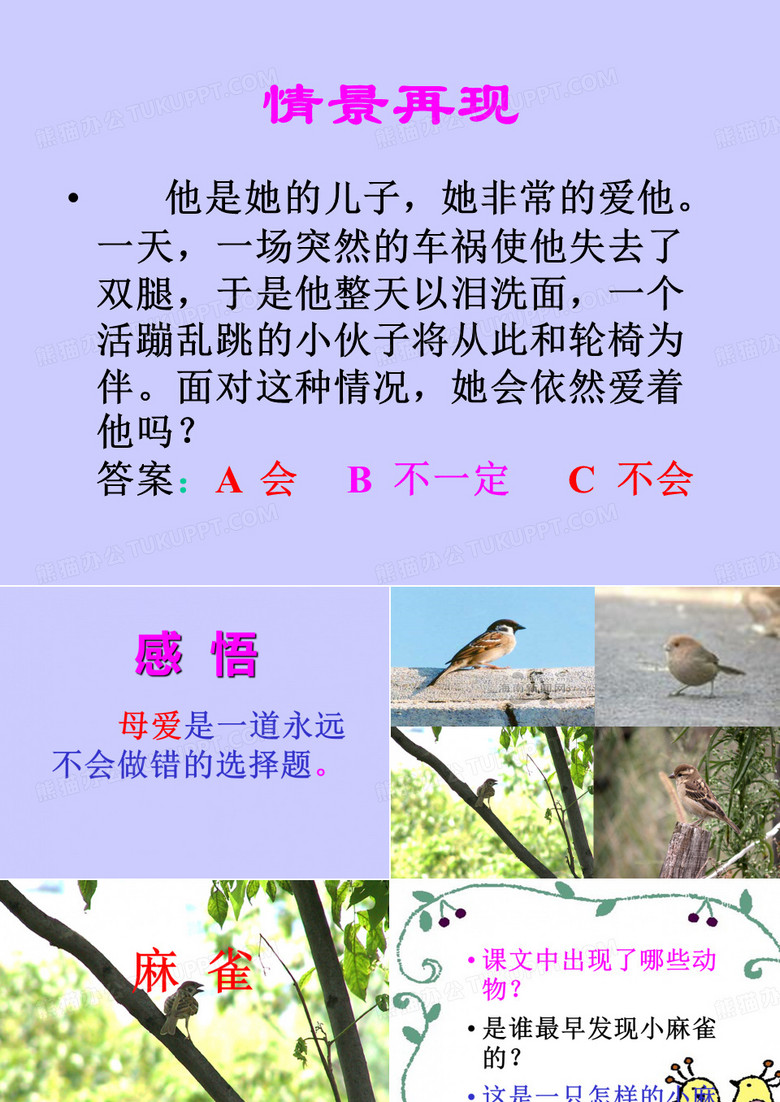 《麻雀》PPT