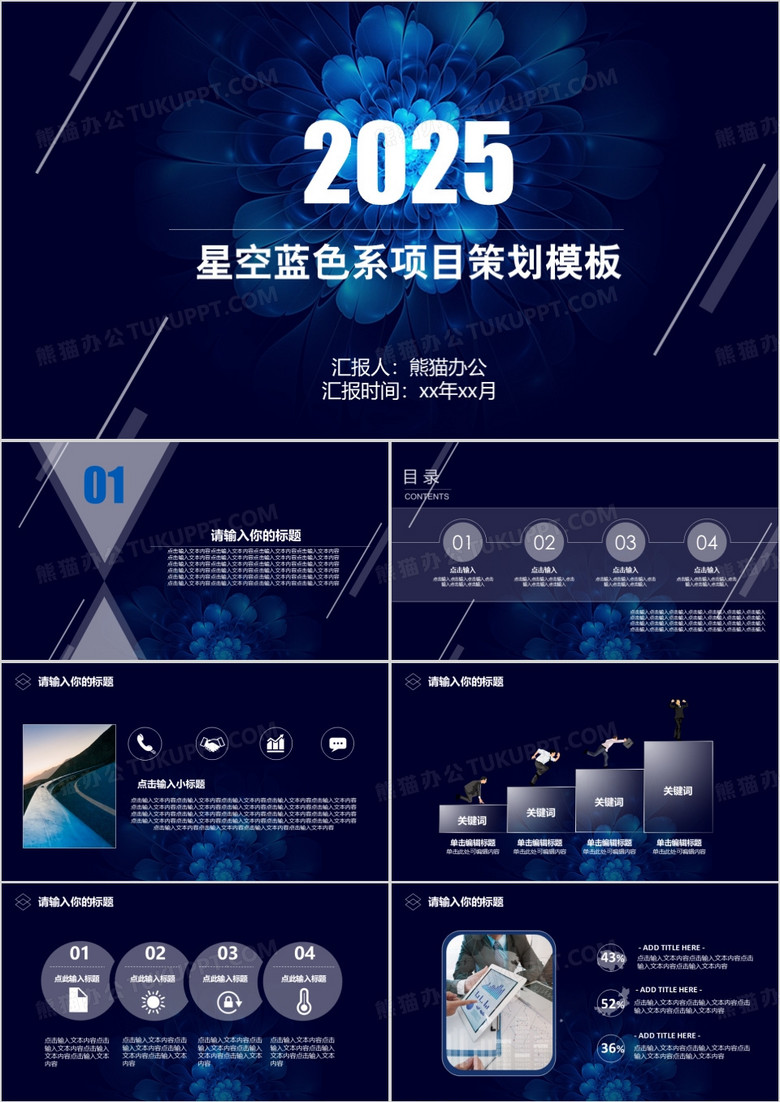 2025星空蓝色系项目策划模板