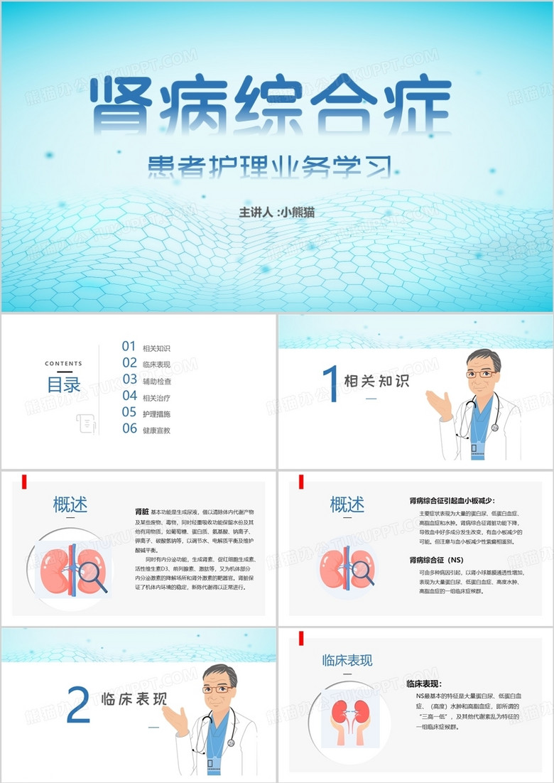 医疗简约风肾病综合征PPT模板