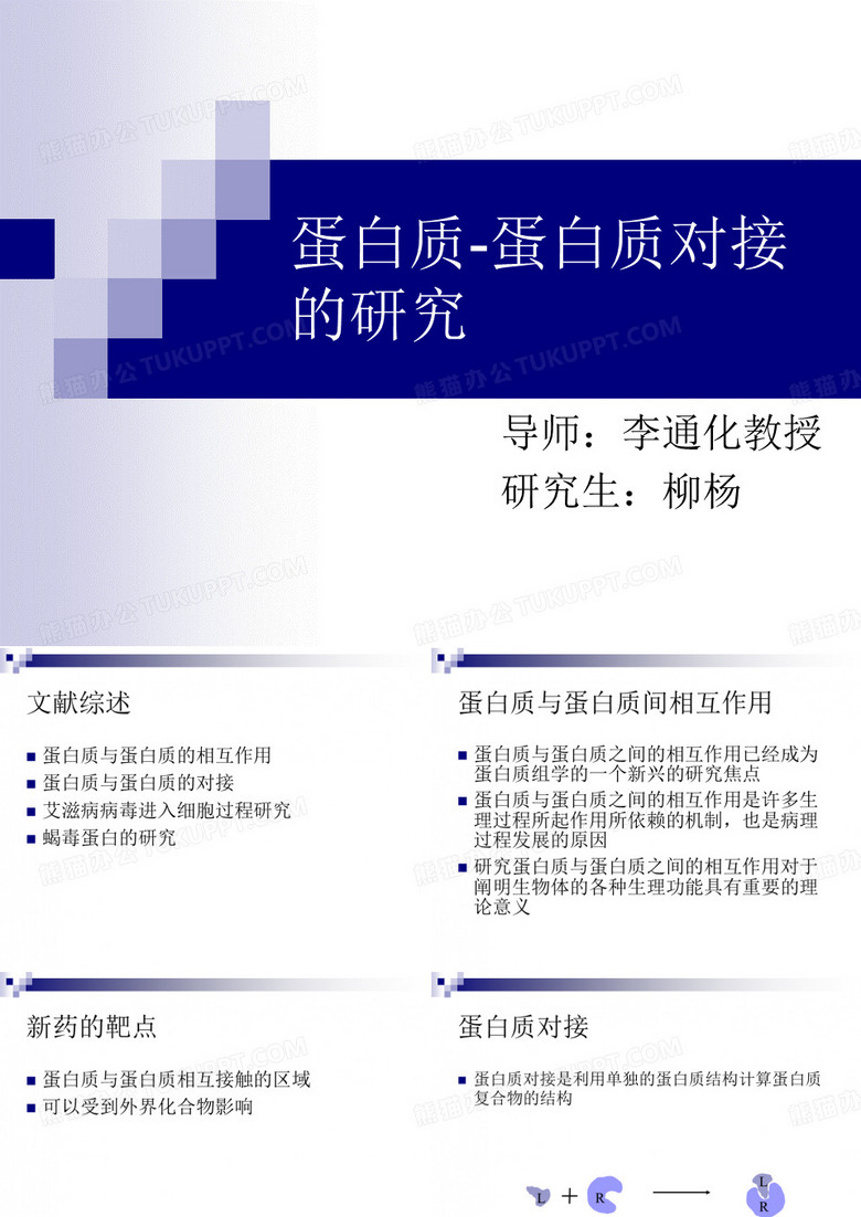 蛋白质蛋白质对接的研究
