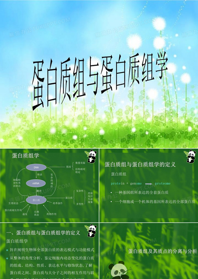 蛋白质组与蛋白质组学