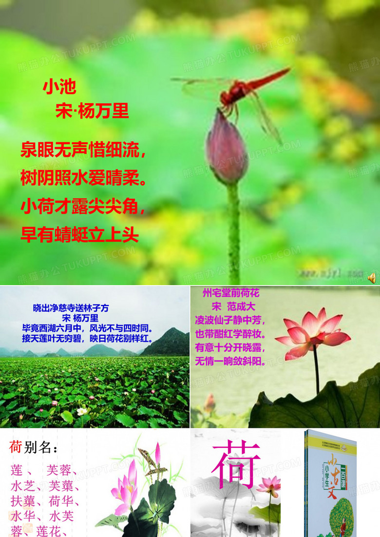 小古文《荷》