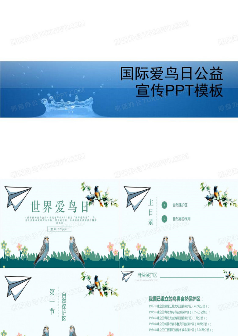 国际爱鸟日公益宣传PPT模板-PPT报告