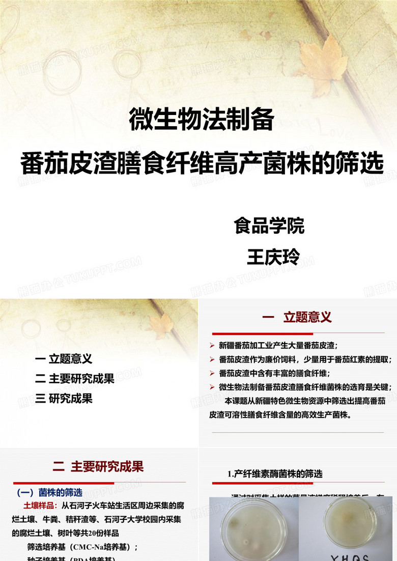 中期检查PPT