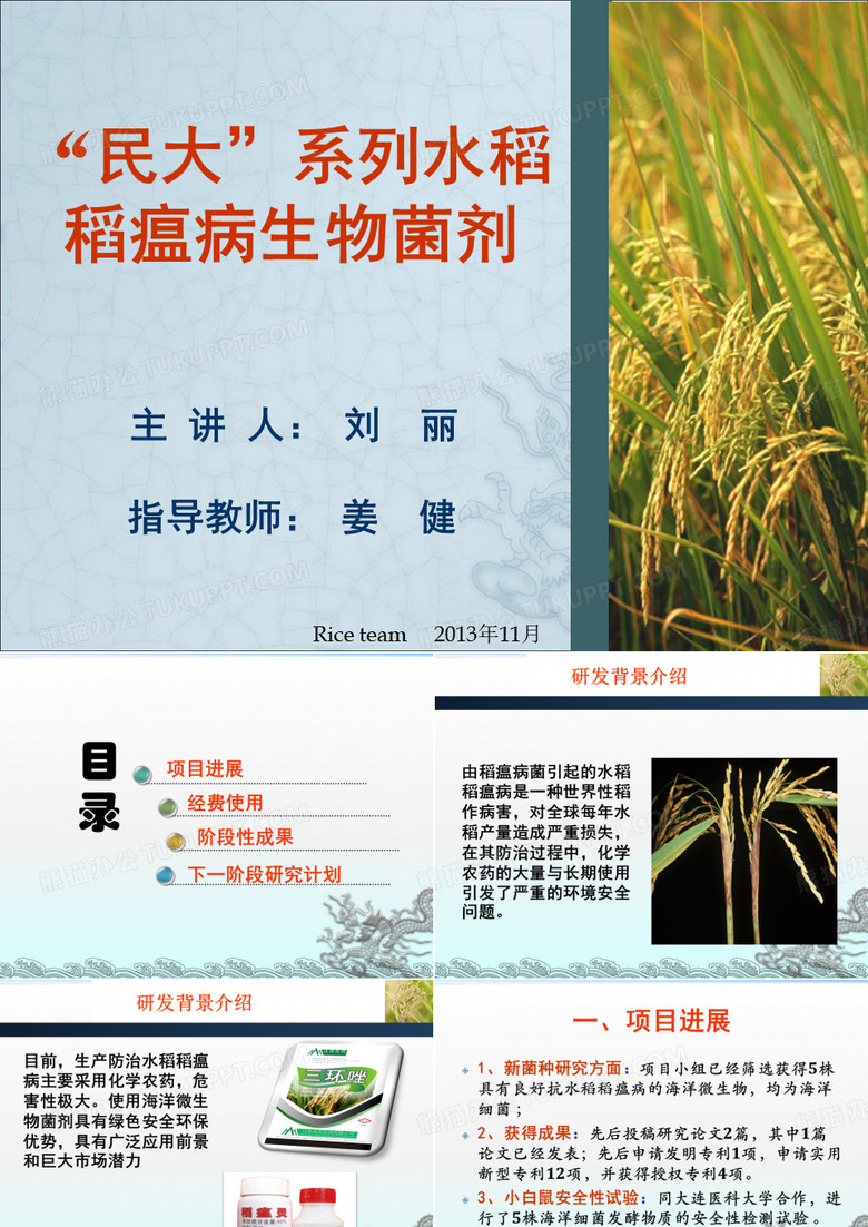 大创中期检查汇报