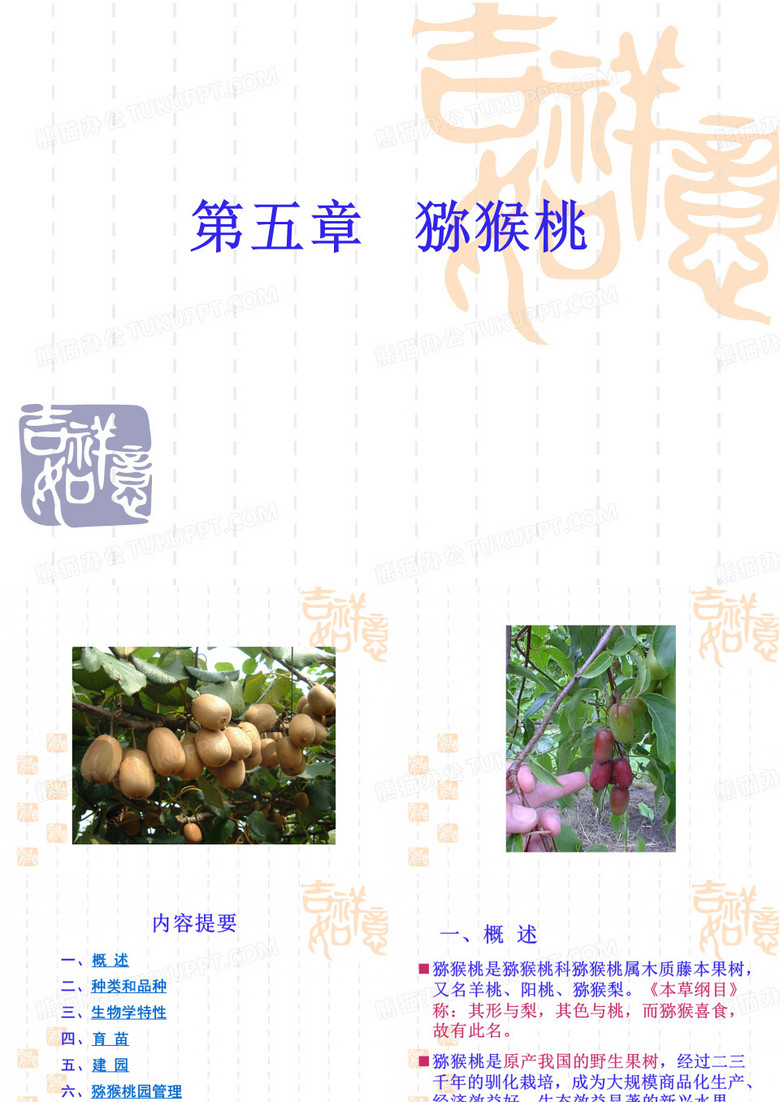 猕猴桃种植技术