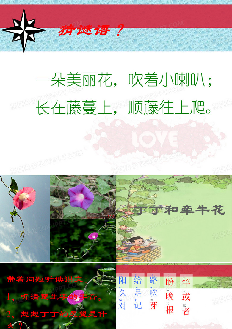 丁丁和牵牛花