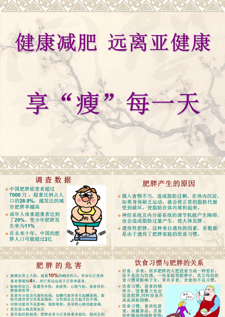 减肥营养餐