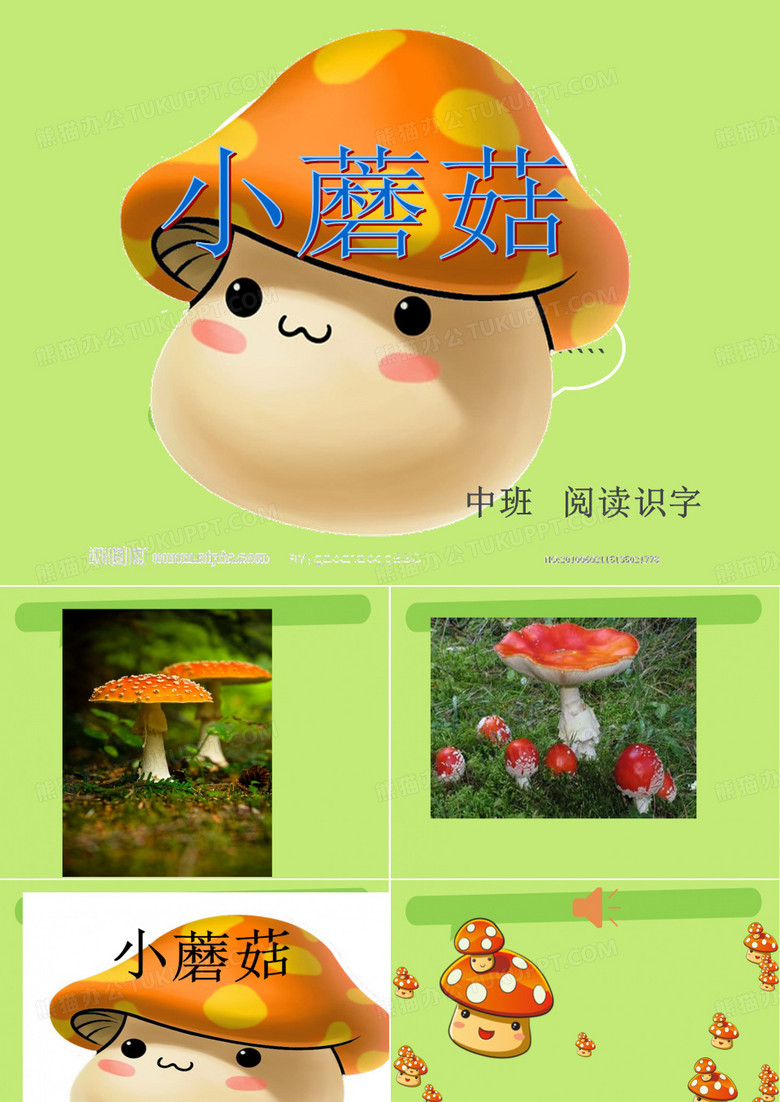 小蘑菇