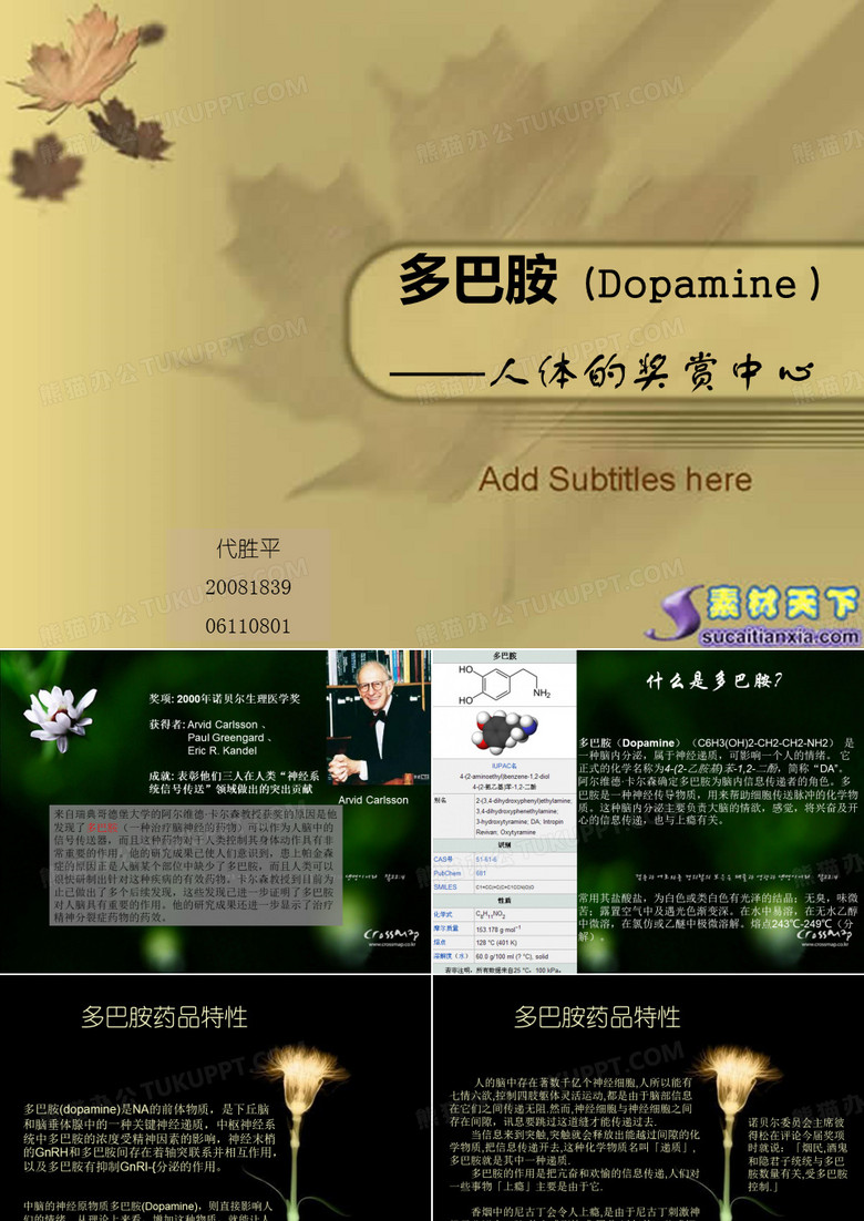 多巴胺(Dopamine )