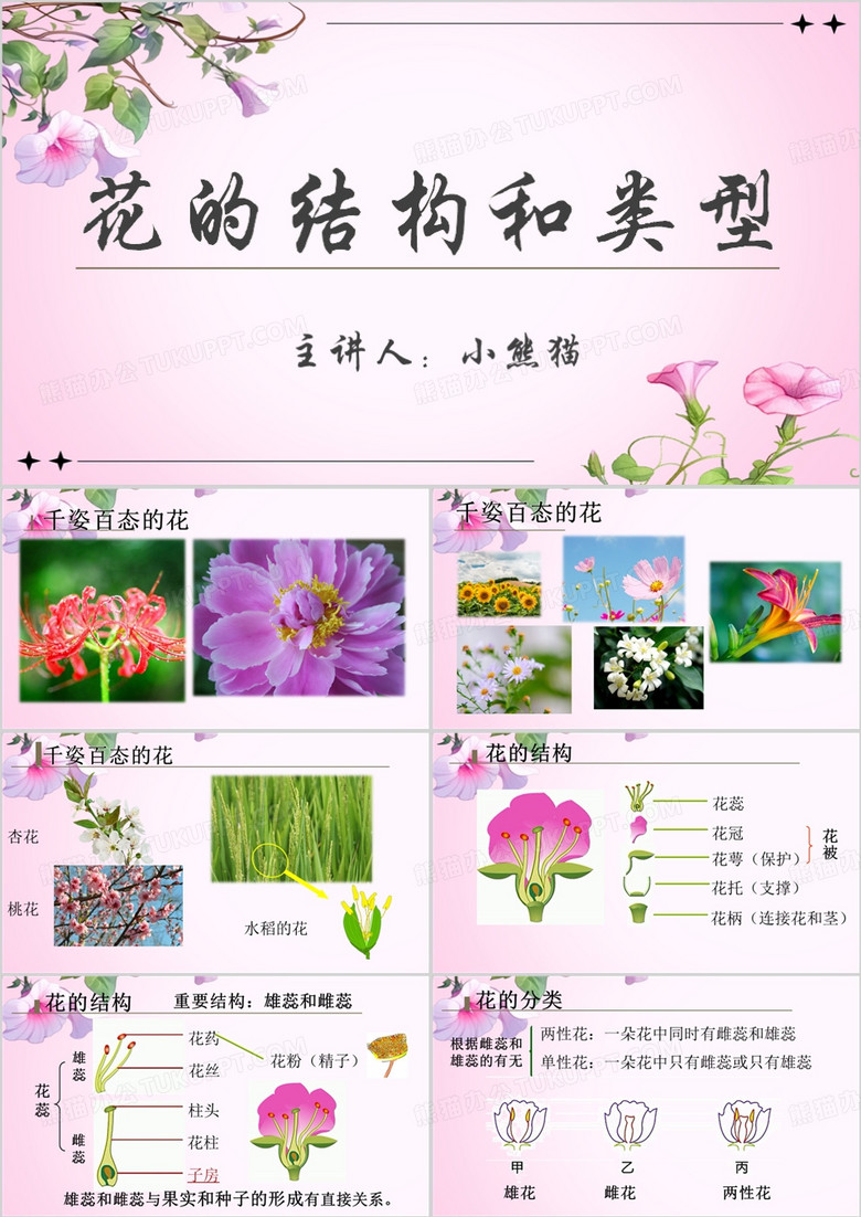 粉色清新花的结构与类型PPT模板