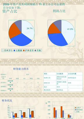 贵州茅台财务分析